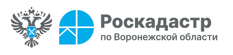 Роскадастр ответил на популярные вопросы воронежцев о выписках из ЕГРН.