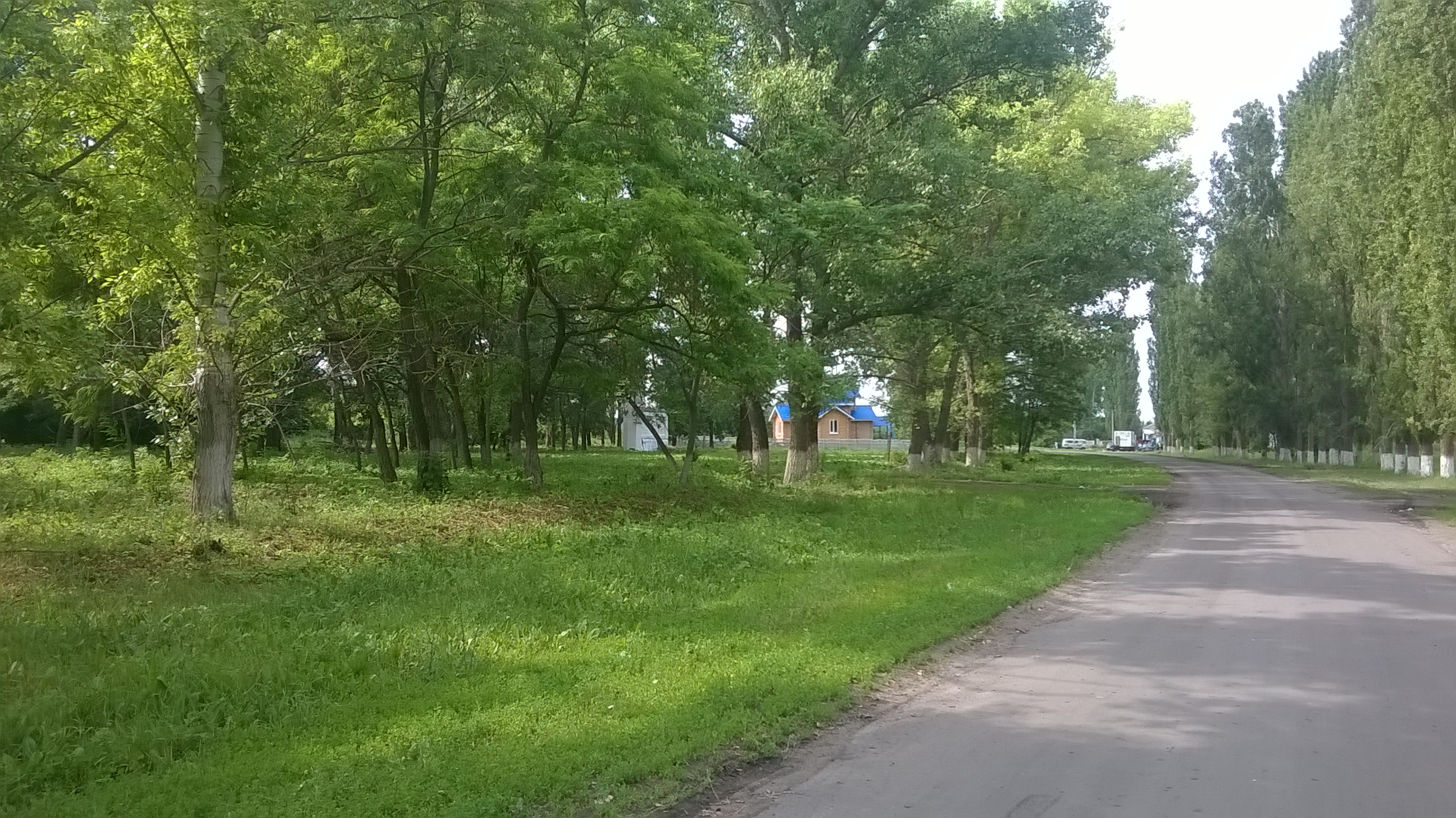 Сухогаевское сельское поселение - парк.