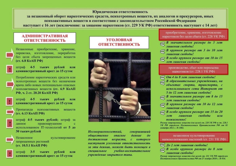 Юридическая ответственность за незаконный оборот наркотических средств. Юридическая ответственность за незаконный оборот наркотических средств.