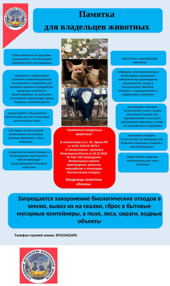 Памятка для владельцев животных. Памятка для владельцев животных.