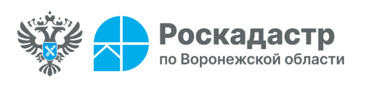 Роскадастр ответил на популярные вопросы воронежцев о выписках из ЕГРН. Роскадастр ответил на популярные вопросы воронежцев о выписках из ЕГРН.